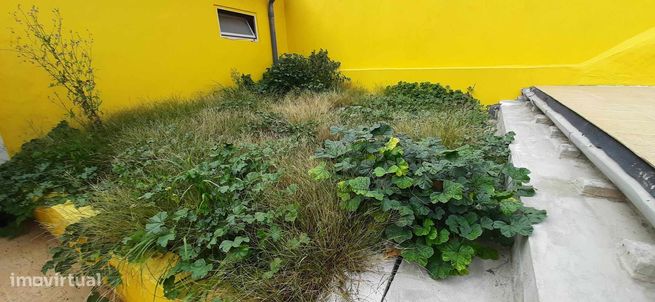 Moradia T3 c/ Anexo e Terraço, toda reabilitada - Campanhã (Dragão)-0