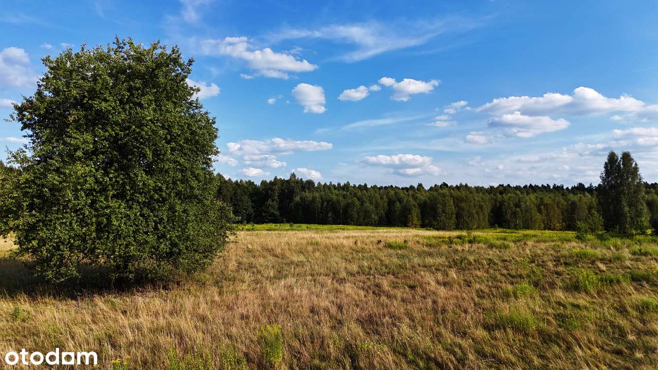 Malownicze działki budowlane w otulinie leśnej-7