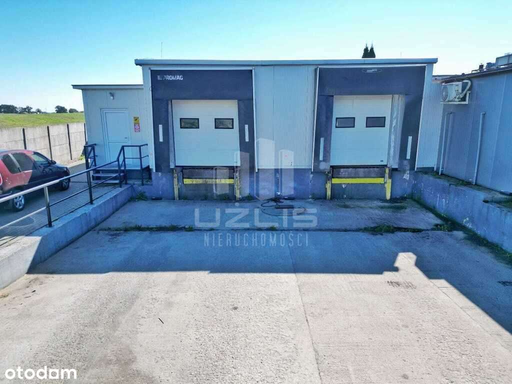 Budynek pod działalność transportowo-logistyczną - Pełny obrazek: 4/20