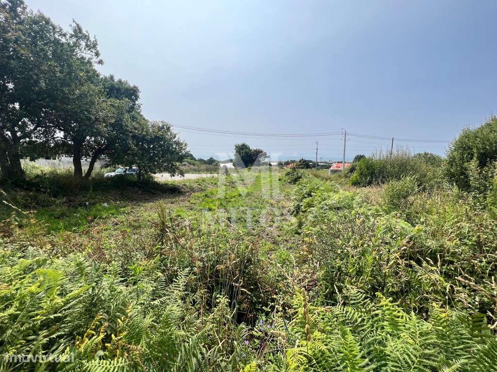 Terreno para venda em Carreço - Viana do Castelo - Grande imagem: 3/8