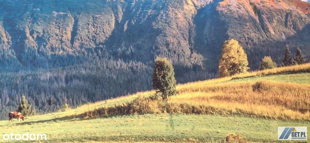 U stóp Babiej Góry - Pełny obrazek: 5/6