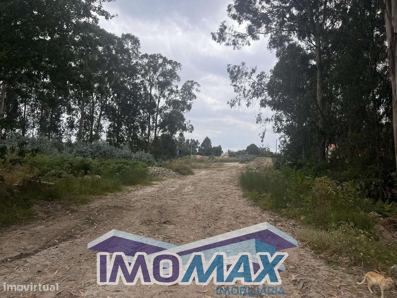 Terreno Industrial - Peroselo, Penafiel - Grande imagem: 3/5