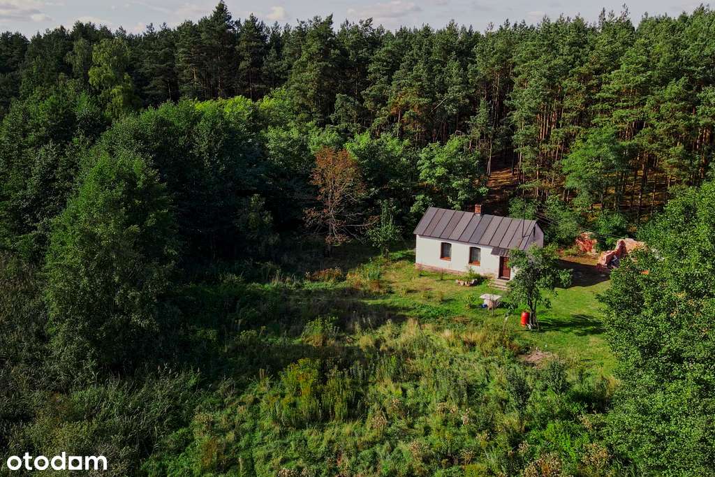 ✅ Sprawdź >>> Działka rekreacyjna (VAT) - 1602m2 ✅ - Pełny obrazek: 4/9