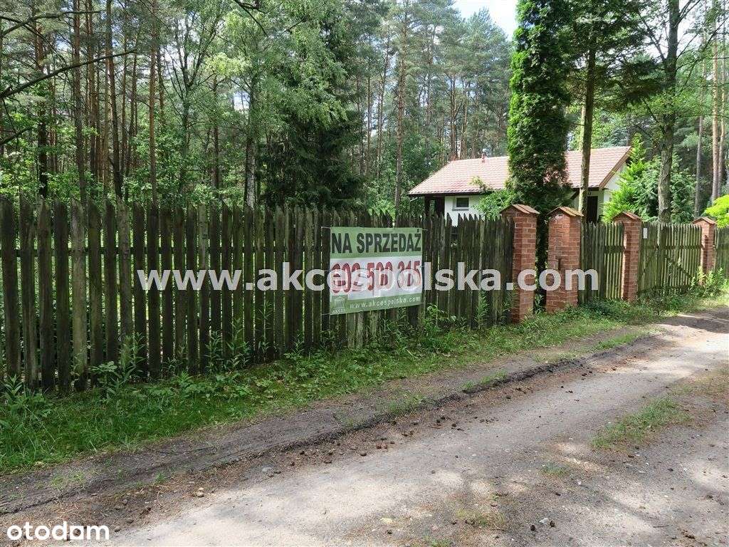 działka z aktualną Wz i starodrzewem-1