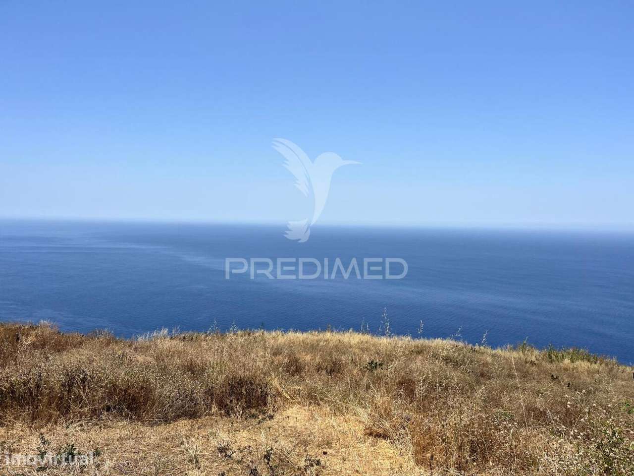 VENDO TERRENO COM 7.100M2 NA FAJÃ DA OVELHA - Grande imagem: 4/6