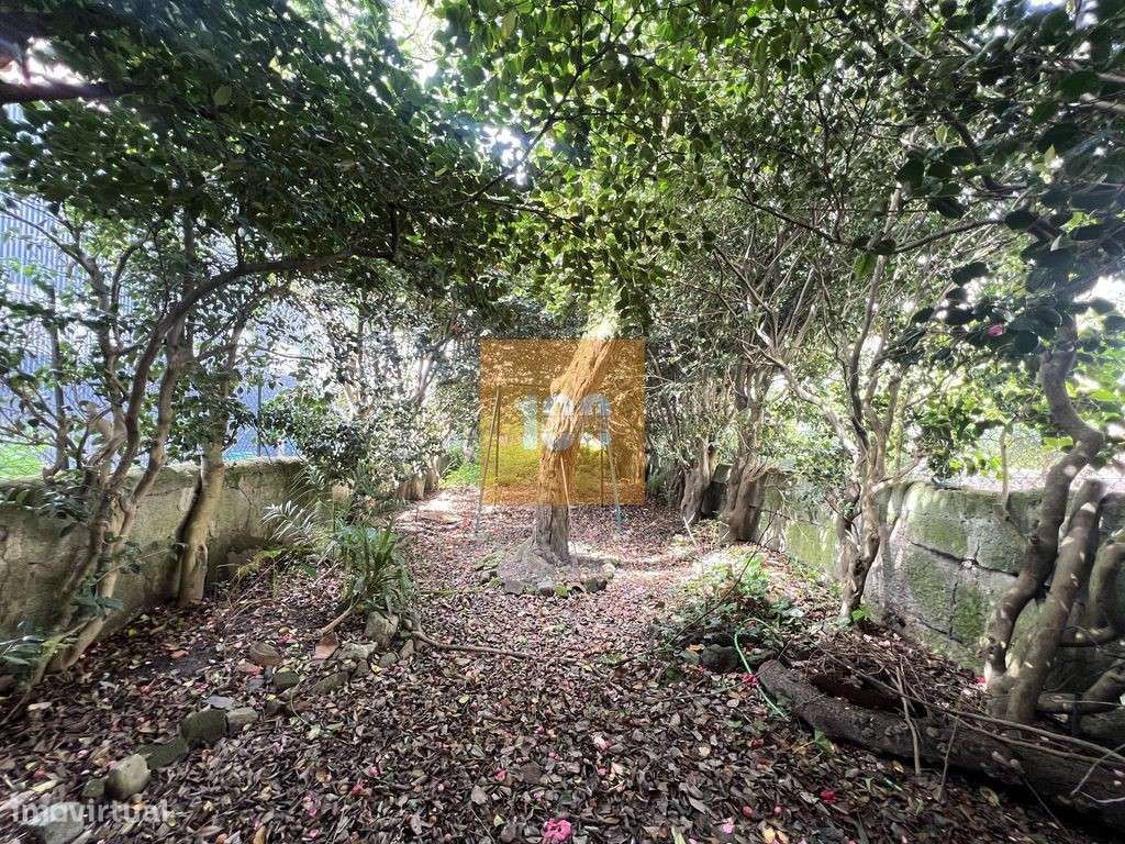 Moradia em Cedofeita - Grande imagem: 4/41