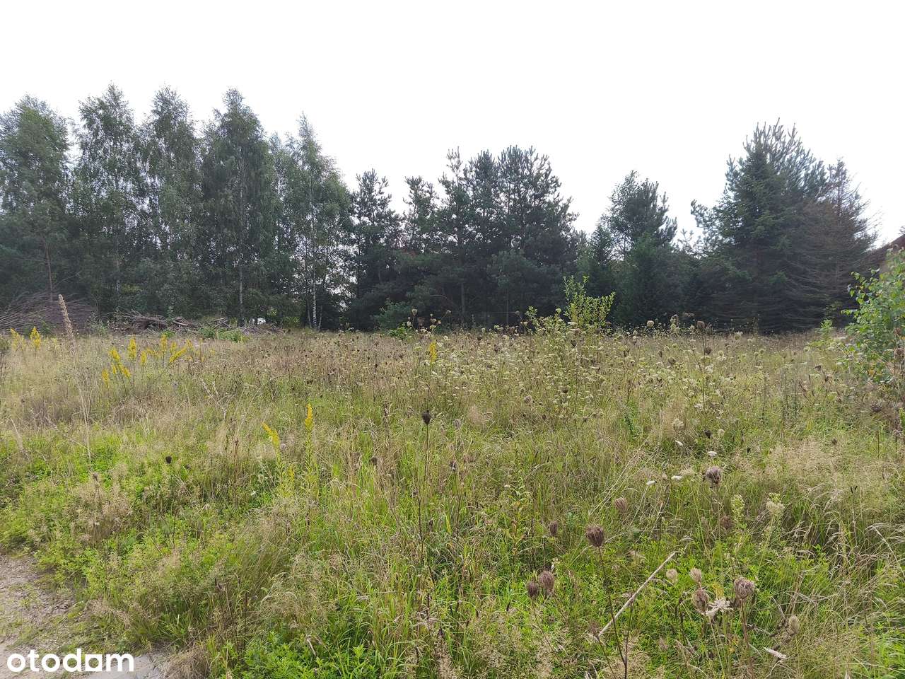 Działka z miejscowym planem zagospodarowania i mediami-9