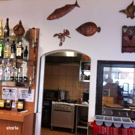 Pensiunea Lotca o pensiune de vis!-7