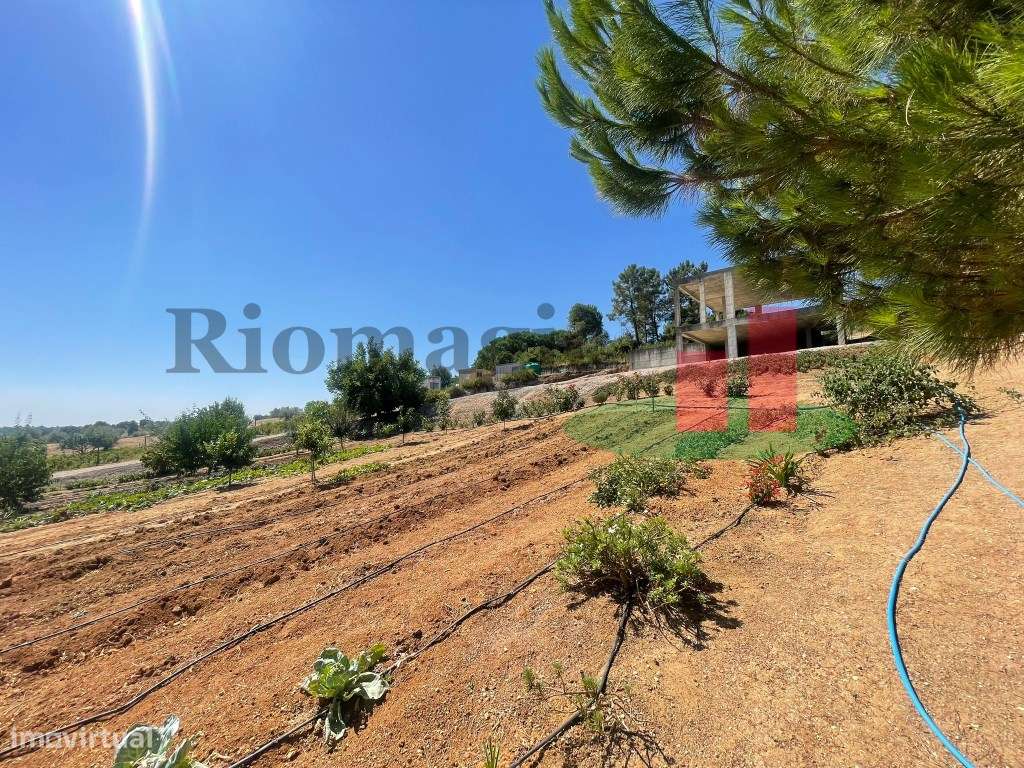 Terreno São João da Ribeira***RIOMAGIC***-38