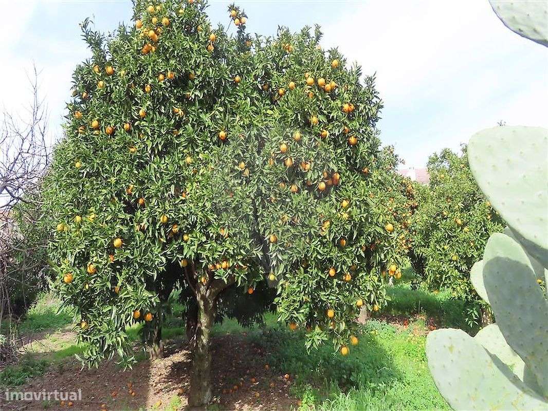 Moradia T2 para venda-38