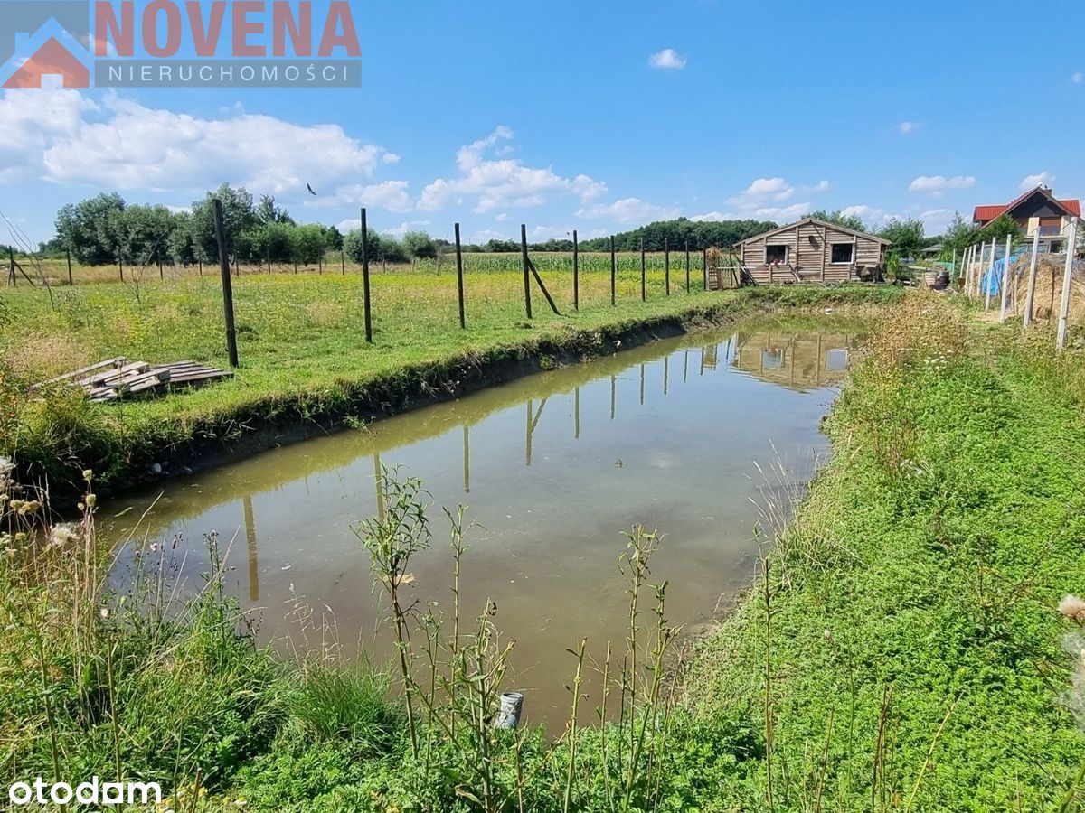 Pawłów Trzebnicki, działka ze stawem