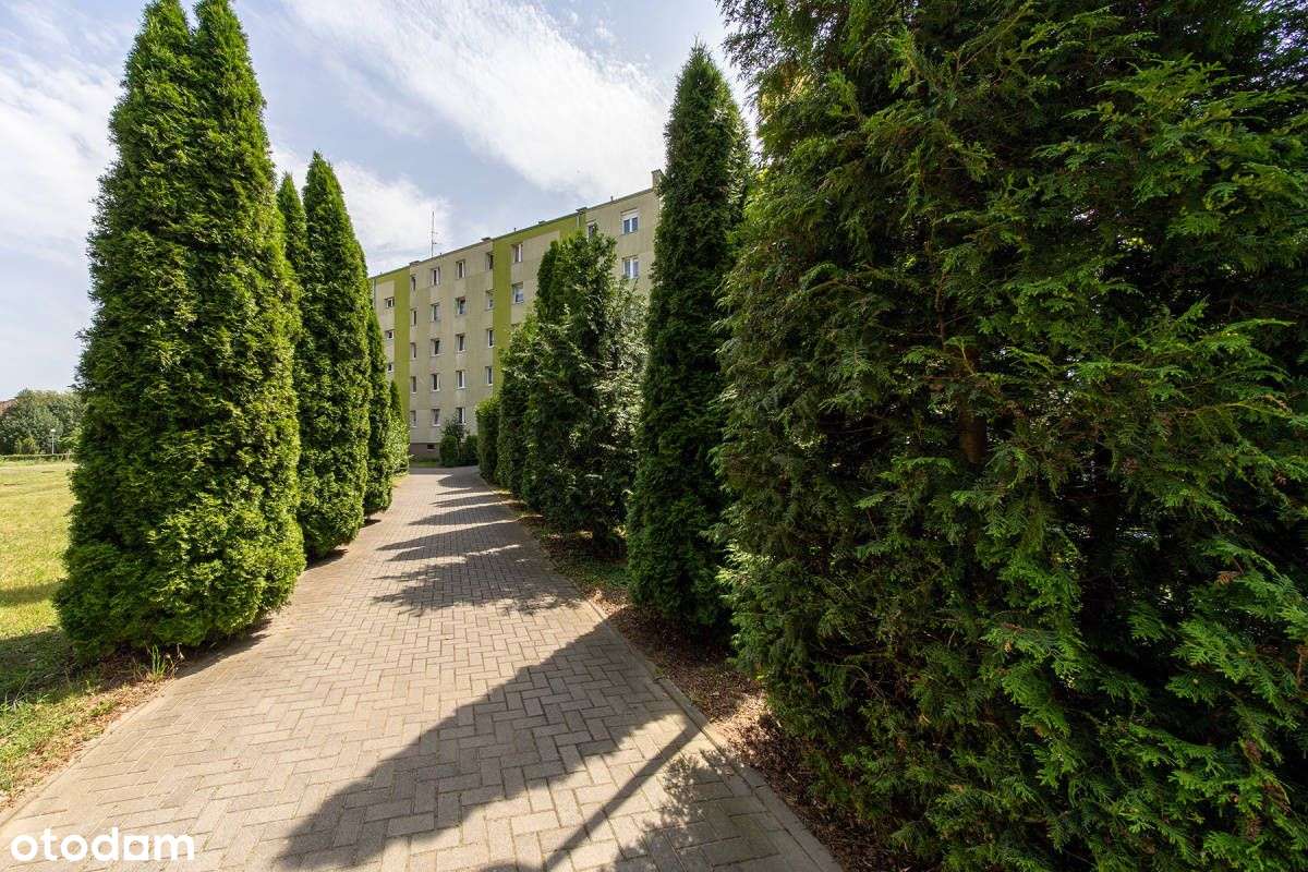 sprzedaż mieszkanie 4 pok. Brzeg Dolny os. Warzyń-16