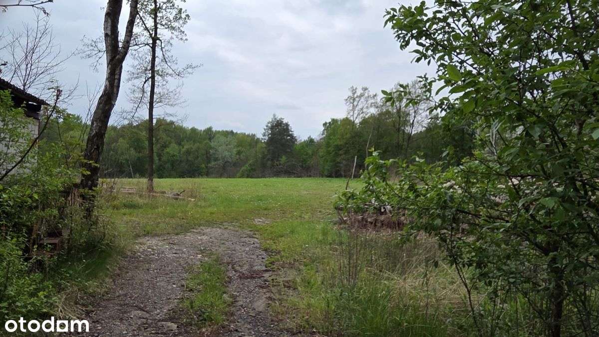 Działka, 1 636 m², Siemonia-0