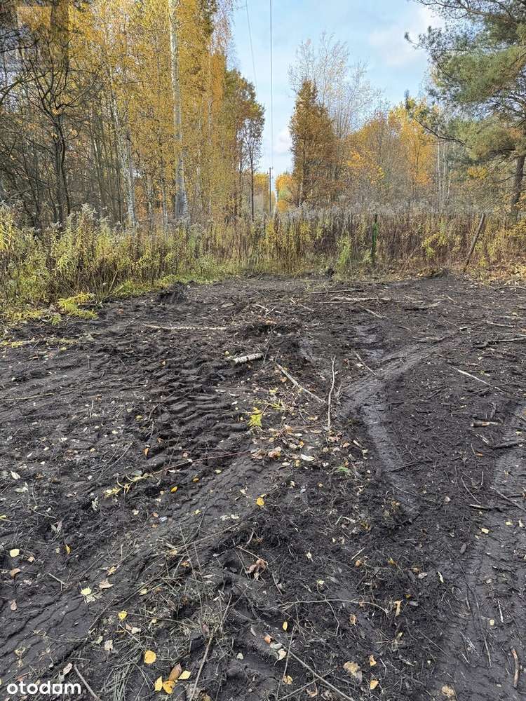 Urokliwa działka w zielonej części Wołomina - Pełny obrazek: 2/2