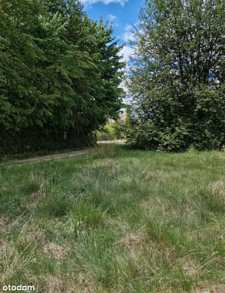 Działka rolno-budowlana 5226m2 Bielsk Podlaski - Pełny obrazek: 5/8