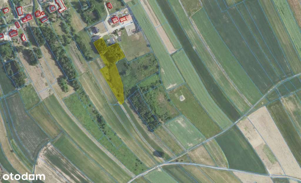 Działka 42 ary – idealna pod Krus – Zgłobień-8