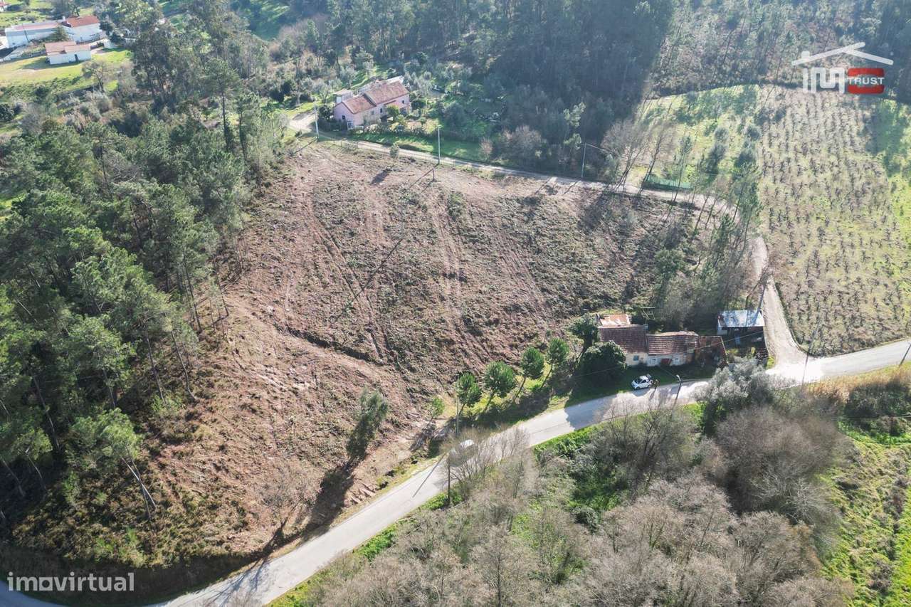 Terreno com pinhal com área 7.700 m2 com possível viabilidade de co... - Grande imagem: 5/19