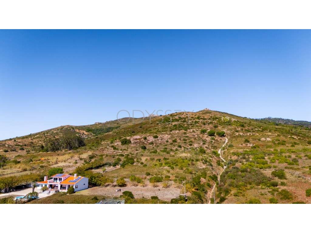 Terreno Rústico à Venda - Fontainhas, Alcabideche (Cascais)-13
