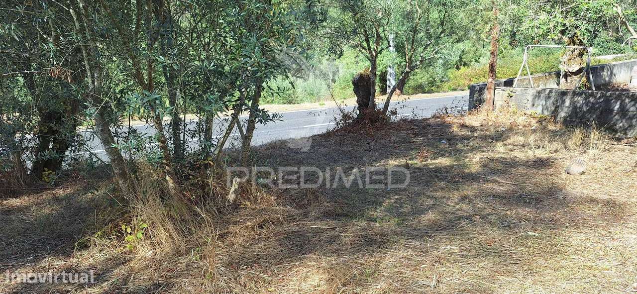 Terreno Rústico com 6.400 m² – Matas, Caranguejeira - Grande imagem: 5/39