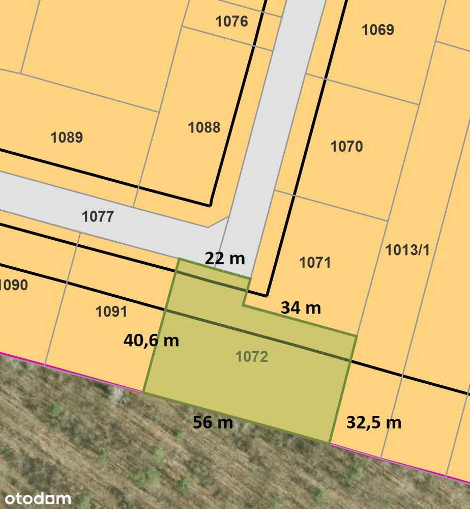 Bezpośrednio przy Puszczy Kampinoskiej-3