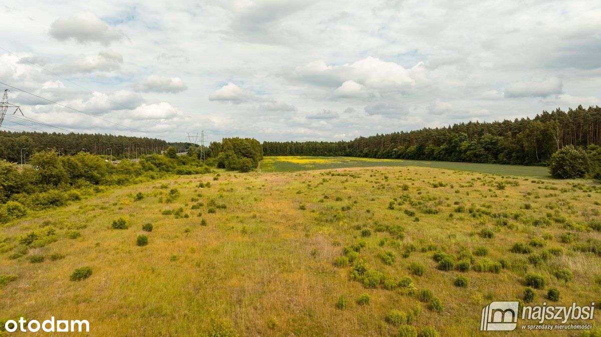 Goleniów - działka inwestycyjna 2,7 ha blisko S6 - Pełny obrazek: 3/12