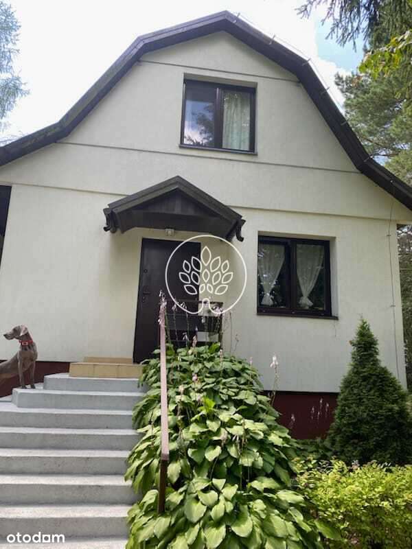 Starodrzew / Narew / Działka z domem 2200 m2 - Pełny obrazek: 4/20