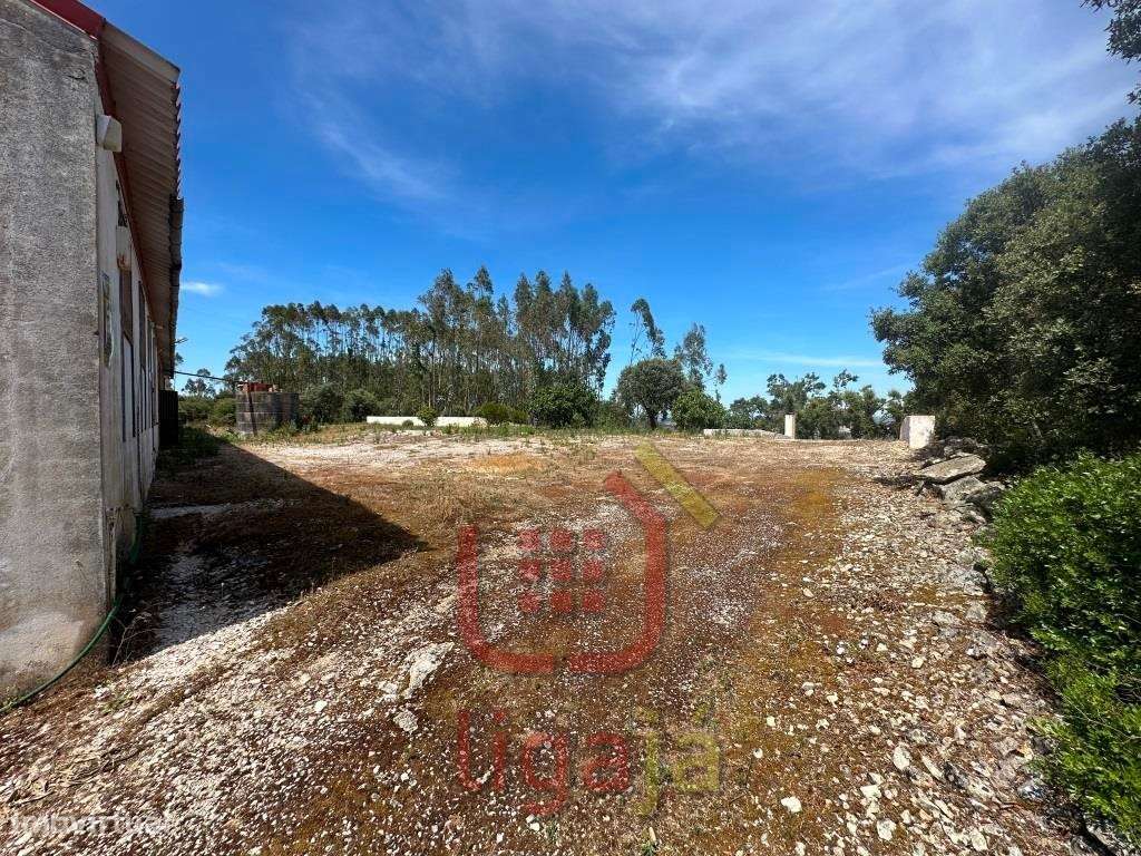 Armazém Industrial/Agropecuário com 9.700 m² de Terreno | Entre Our...-13