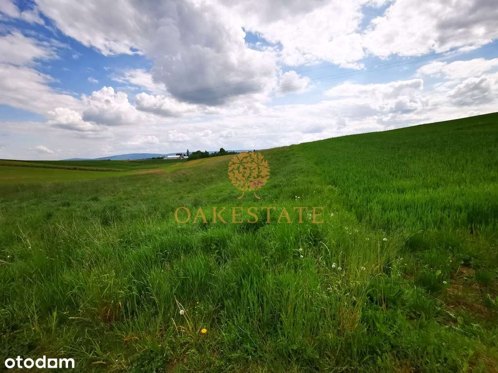 Sprzedam działkę 9800m2 Śniadka gm. Bodzentyn - Pełny obrazek: 5/10