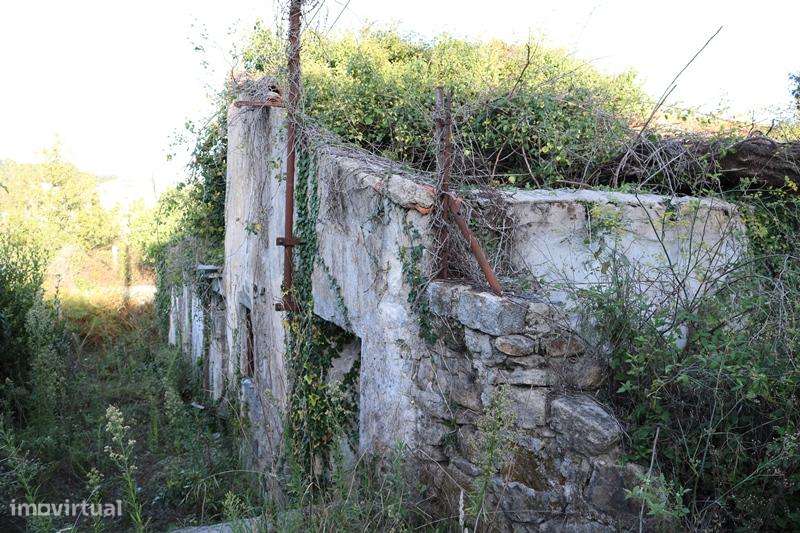 Propriedade c/ 1.800 m2 com  5  artigos urbanos em S. Vicente - Braga-18