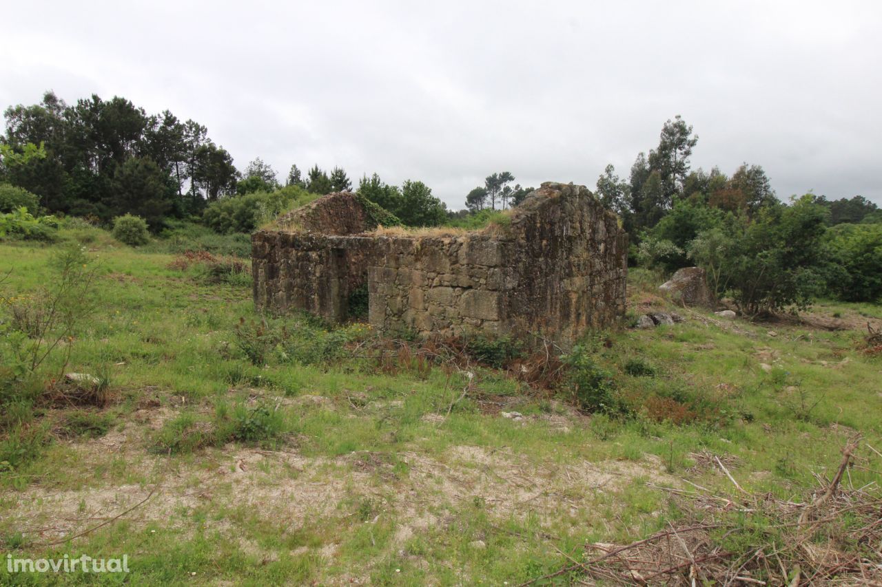 Terreno com 3,1 hectares a 5km do centro de Viseu