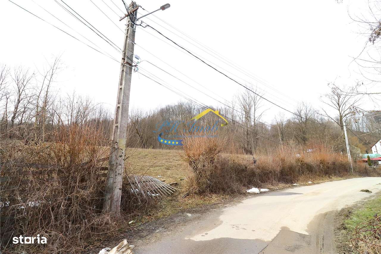 Teren Intravilan de vanzare, Provita de Sus-4