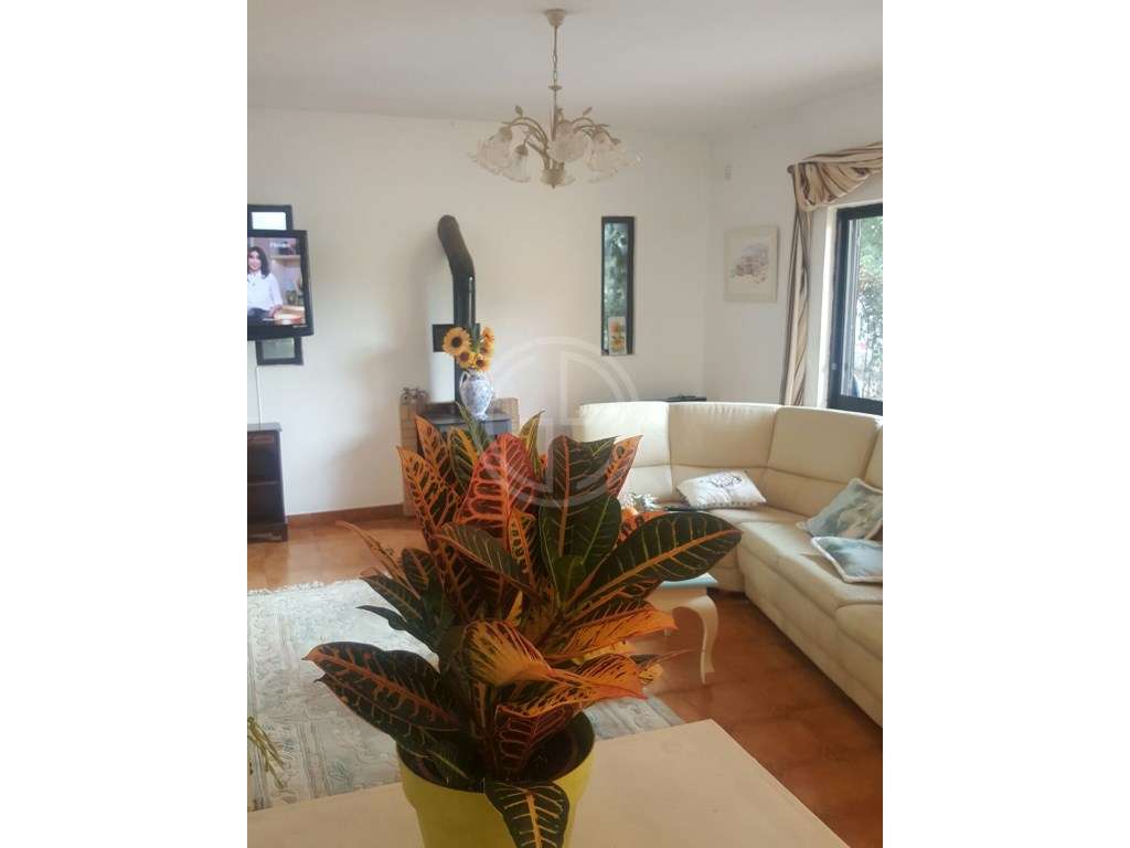 Oportunidade de Investimento | Moradia T3 com Piscina em Almancil - Grande imagem: 3/22