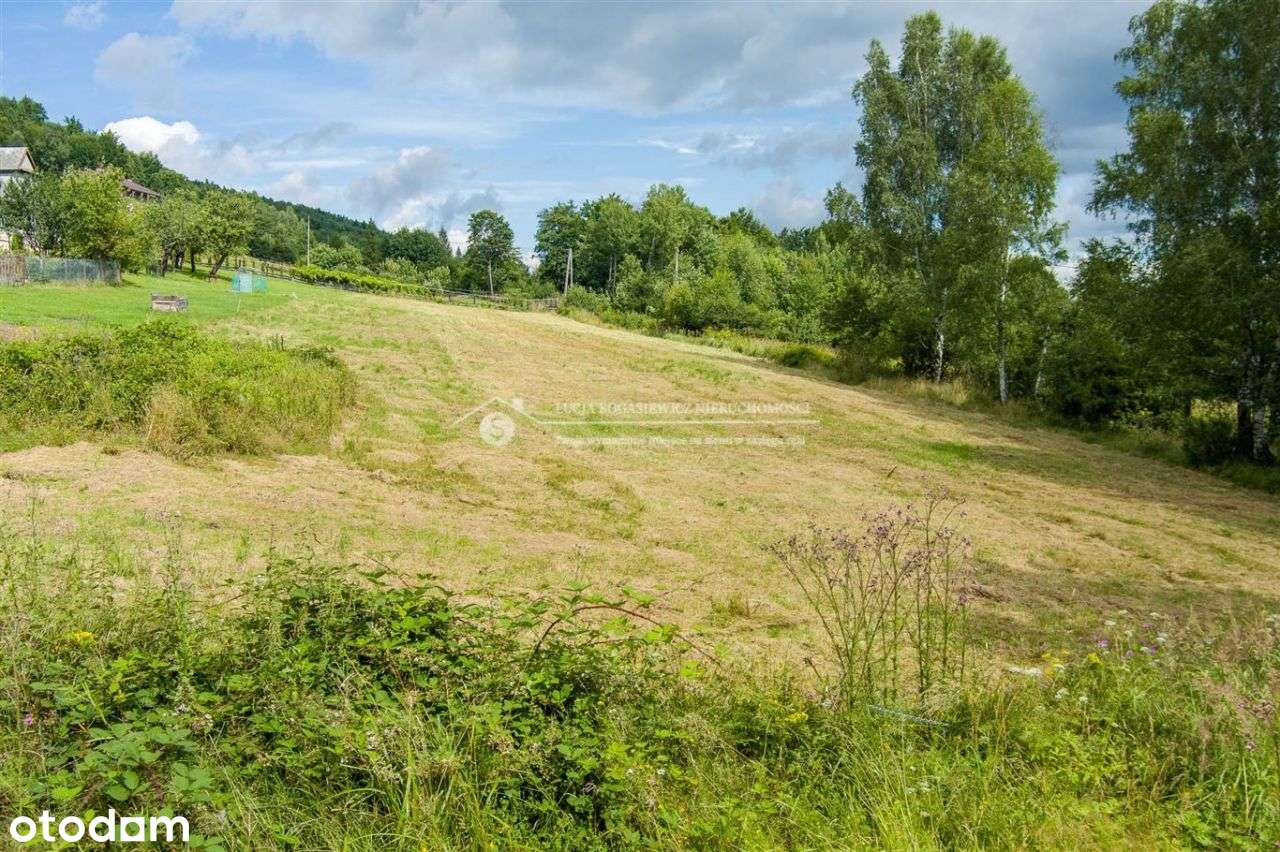 Unikat - działka budowlana przy lesie!-16