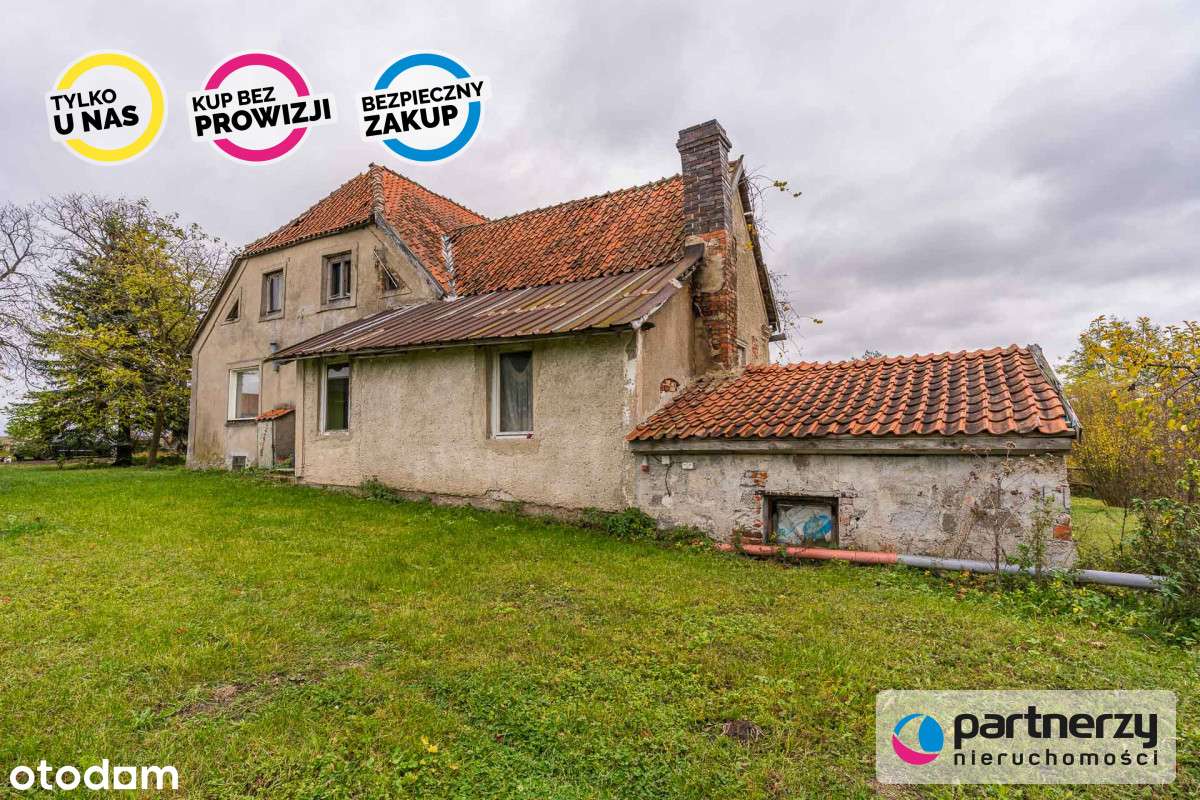 Agroturystyka- Działalność Rolnicza- Stadnina Koni - Pełny obrazek: 4/20