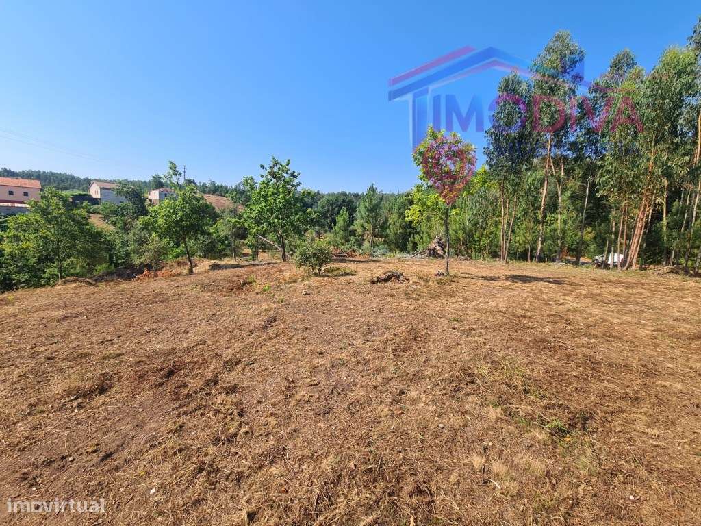 Propriedade Rústica com Potencial de Construção | Salaborda - Pedró...-10