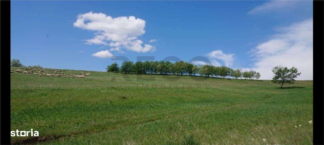 Reco  Teren extravilan Tileagd - Imagine principală: 4/10