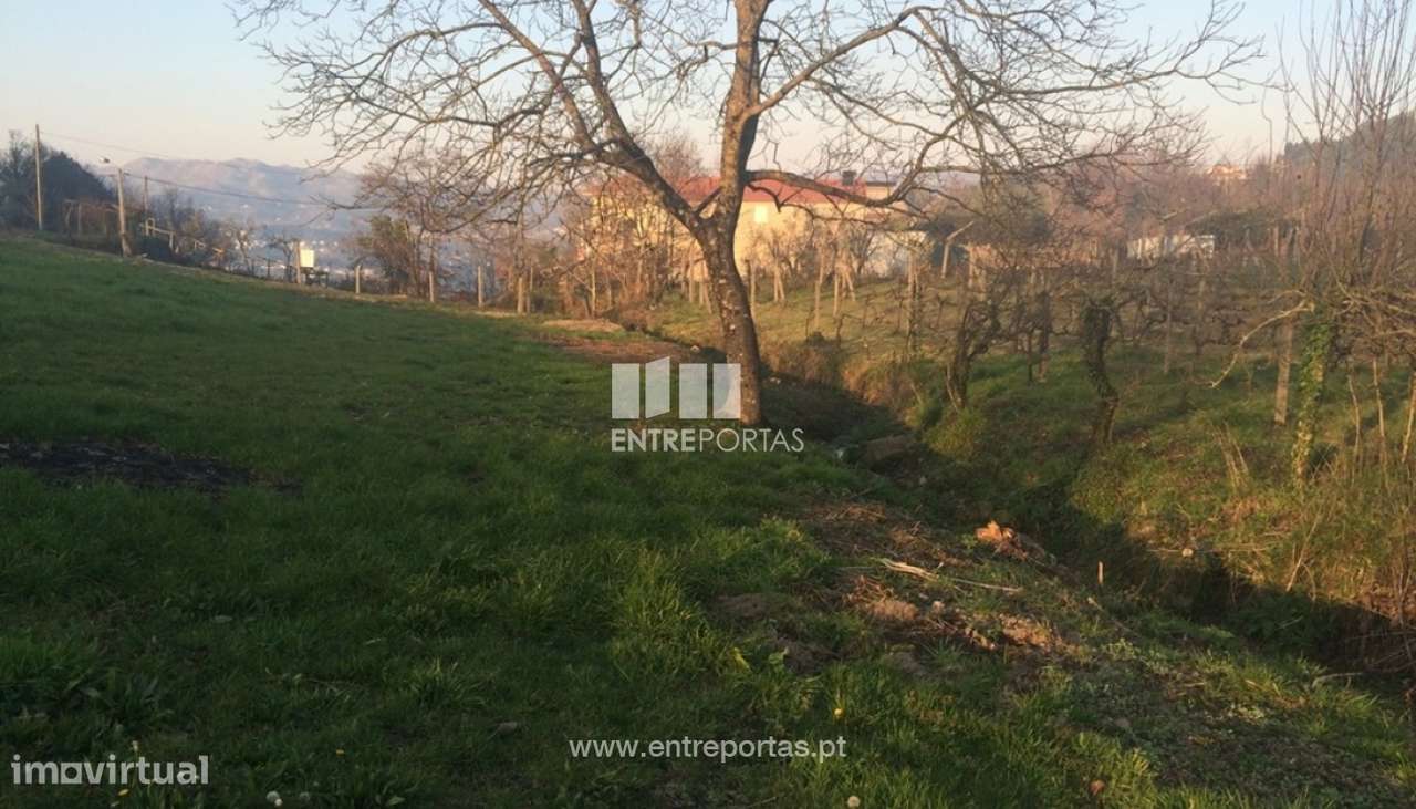 Venda Terreno c/ Moradia para Restauro, Tarouquela, Cinfães - Grande imagem: 4/36