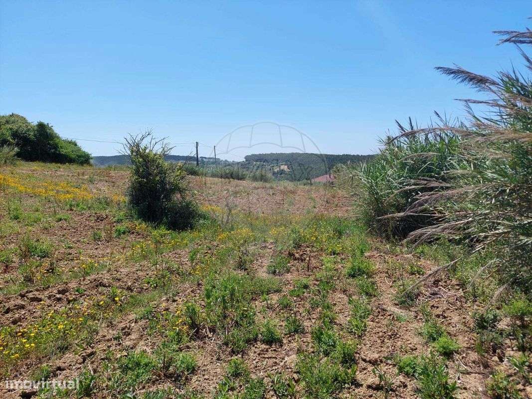 Terreno  para venda - Grande imagem: 3/10