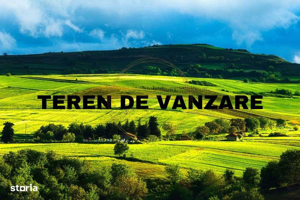 Teren intravilan in Marisel, 10630 mp, zona Cabana Motilor - Imagine principală: 1/4