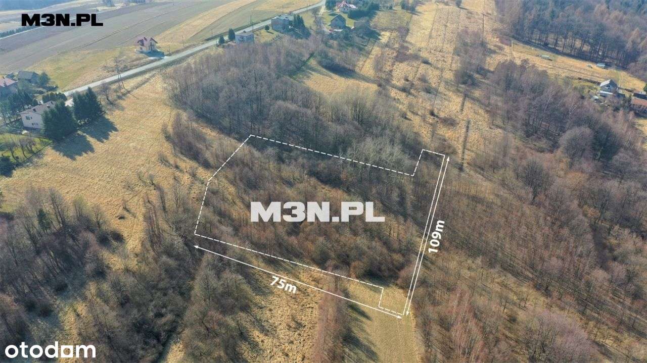 Działka rolna 58a Przytkowice, K-Zebrzydowska - Pełny obrazek: 2/10