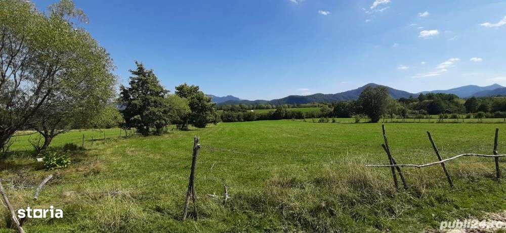 Teren 9350 mp Bran Livada, Extravilan - Imagine principală: 4/6