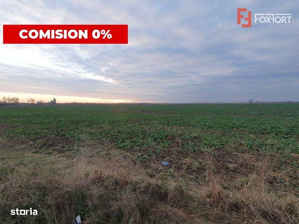 COMISION 0% Teren extravilan 20.000 mp la sosea in Sag - Imagine principală: 2/6