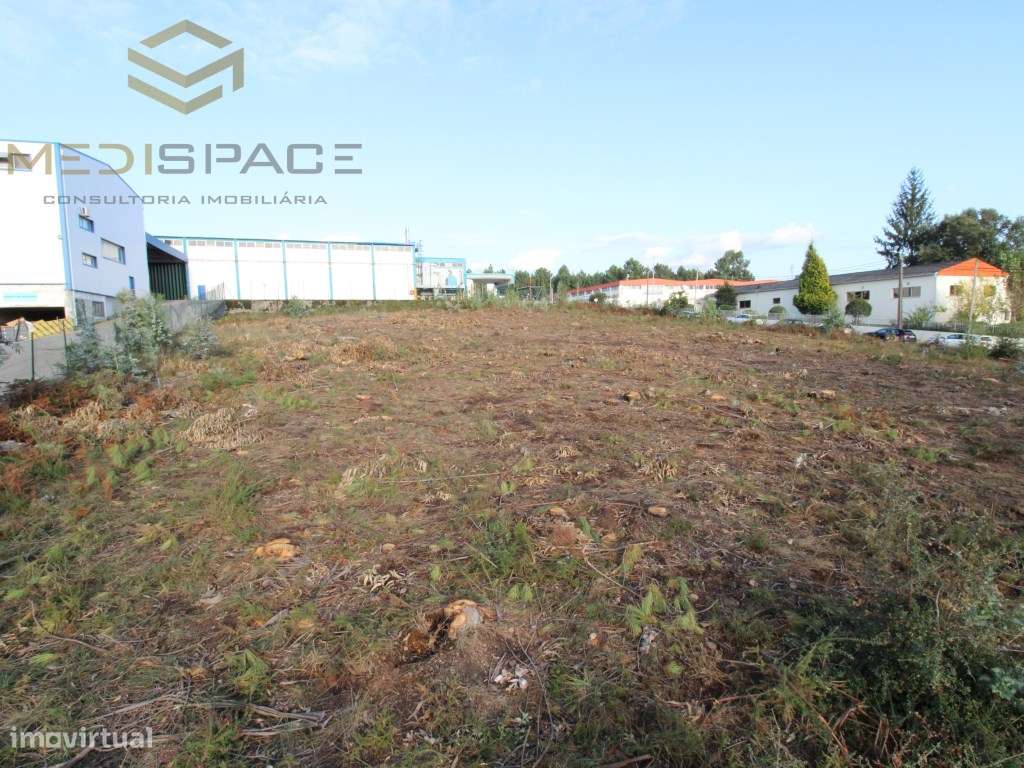 Terreno Industrial em Gaia , Avintes ( Fábrica Barbosa e Almeida) - Grande imagem: 4/23