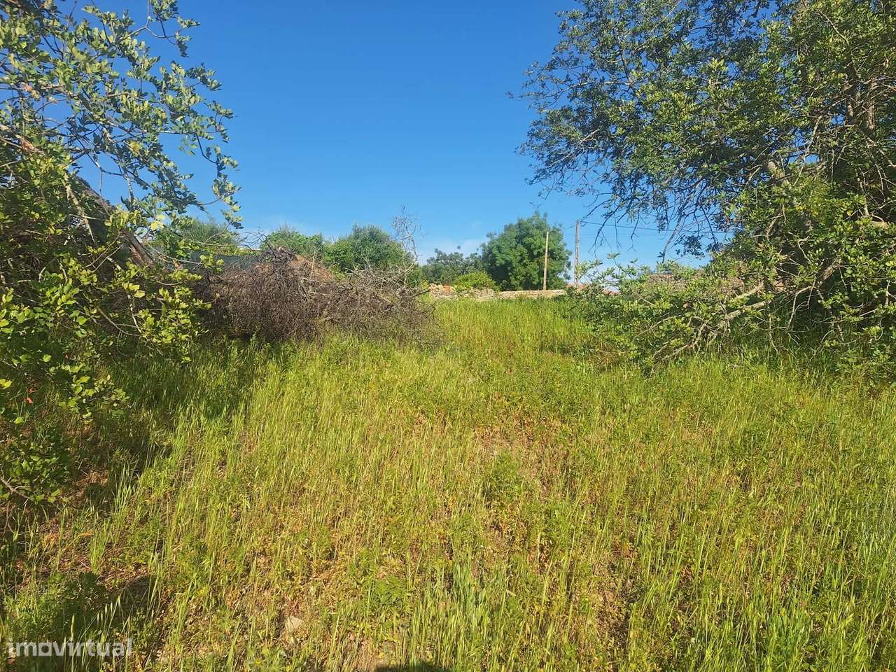 Terreno nos arredores de São Brás de Alportel-8