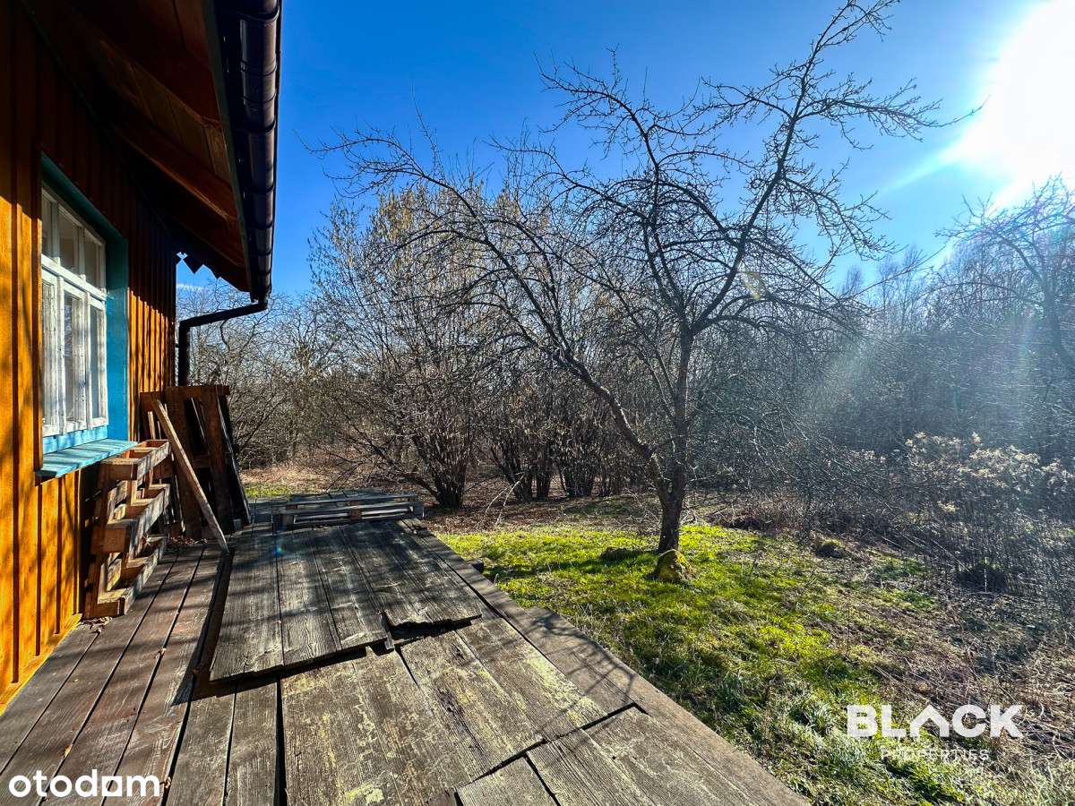 Działka 4,3 ha - ogromny potencjał inwestycyjny - Pełny obrazek: 4/17