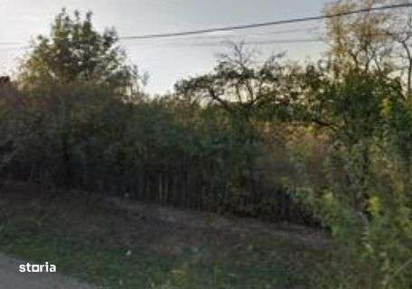 Casa si teren Pitulati, jud. Braila - ID R1965250 - Imagine principală: 2/10