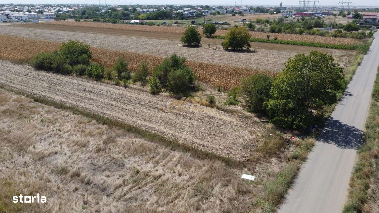 Teren intrare comuna Berceni / Strada Codrului - Imagine principală: 2/3