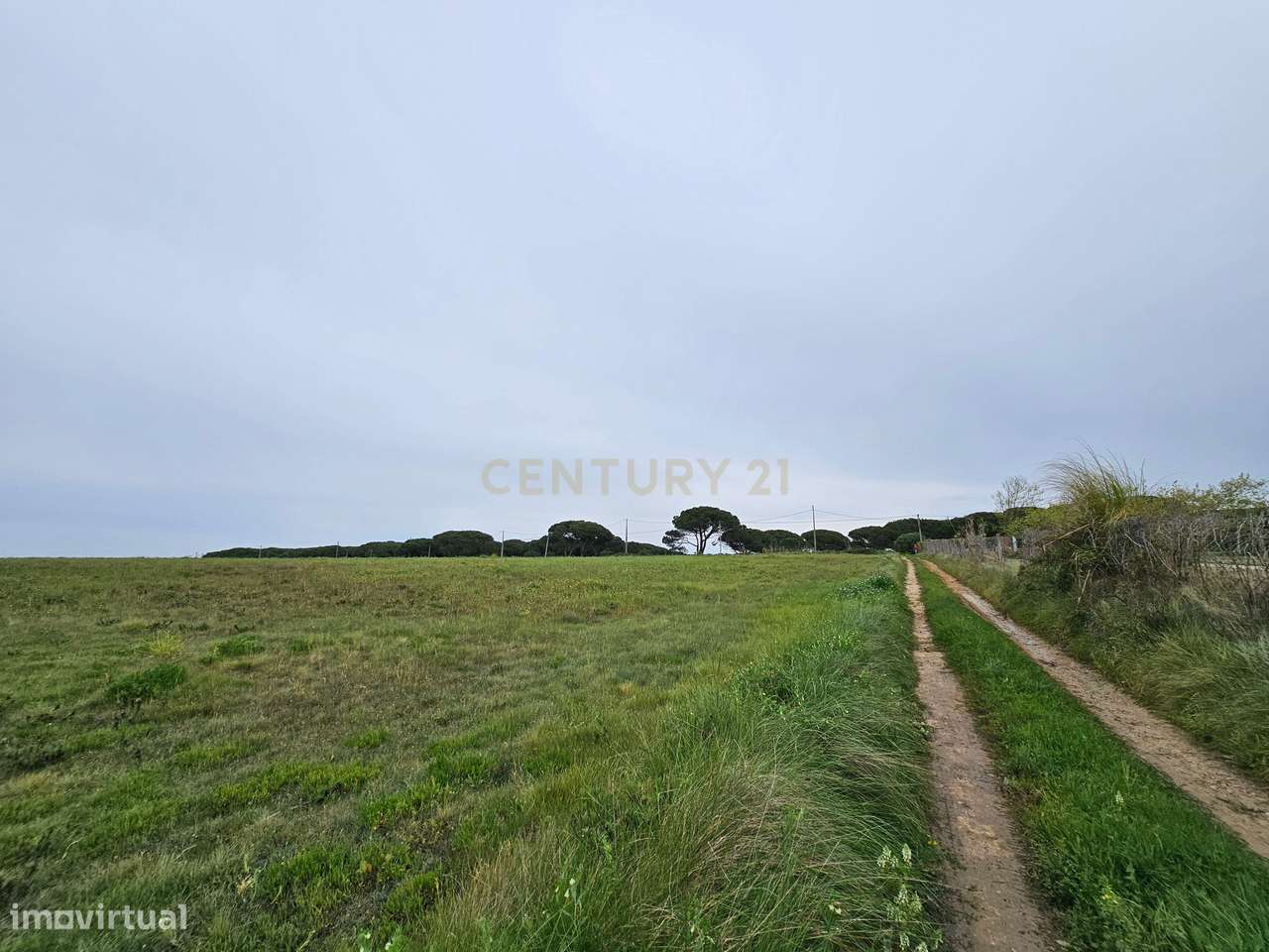 Terreno Rústico | 14160m2 | Sintra | Fontanelas | Av. Nossa Senhora da-21