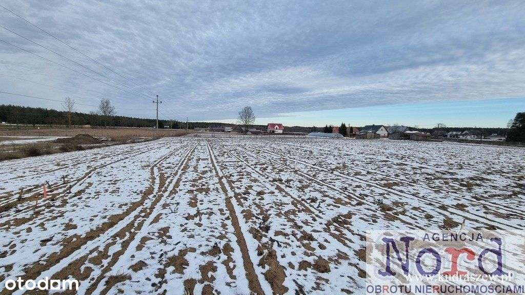 Działka, Macharce, Gmina Płaska - Pełny obrazek: 4/9