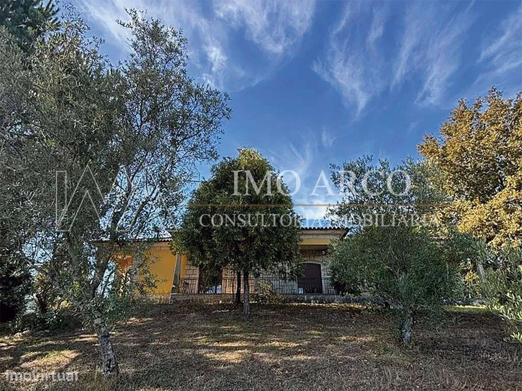 Quinta, com Moradia, Piscina e Adega-35